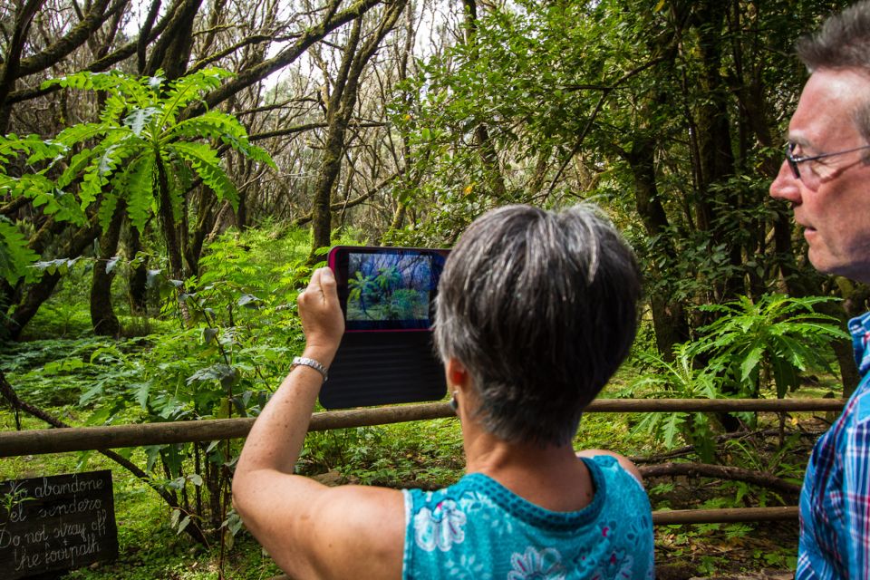 From South Tenerife: VIP Gomera Tour - Exploring Garajonay National Park