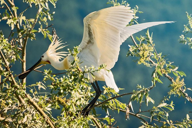 From Thessaloniki: Private Day Trip to Kerkini Lake - Inclusions and Exclusions