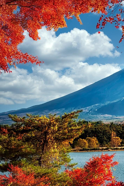 From Tokyo: 1 Day Mount Fuji Private Guided Tour - Frequently Asked Questions