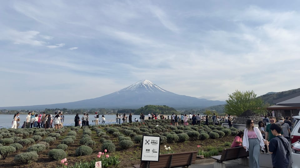 From Tokyo: 3 Day Private Tour (Mt.fuji, Nikko, Hakone) - Transportation and Services