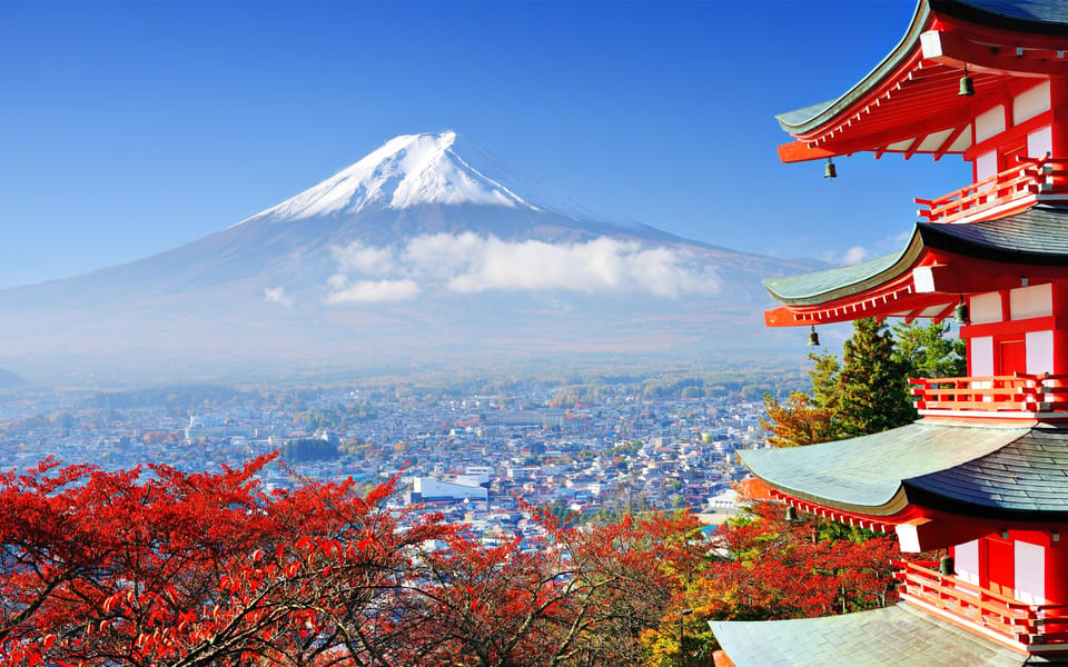 From Tokyo: Mount Fuji & Hakone Trip With English Driver - Pickup and Drop-off Locations