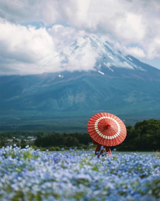 From Tokyo: Mount Fuji Instagram Spots 1-Day Private Tour - Reservation and Cancellation