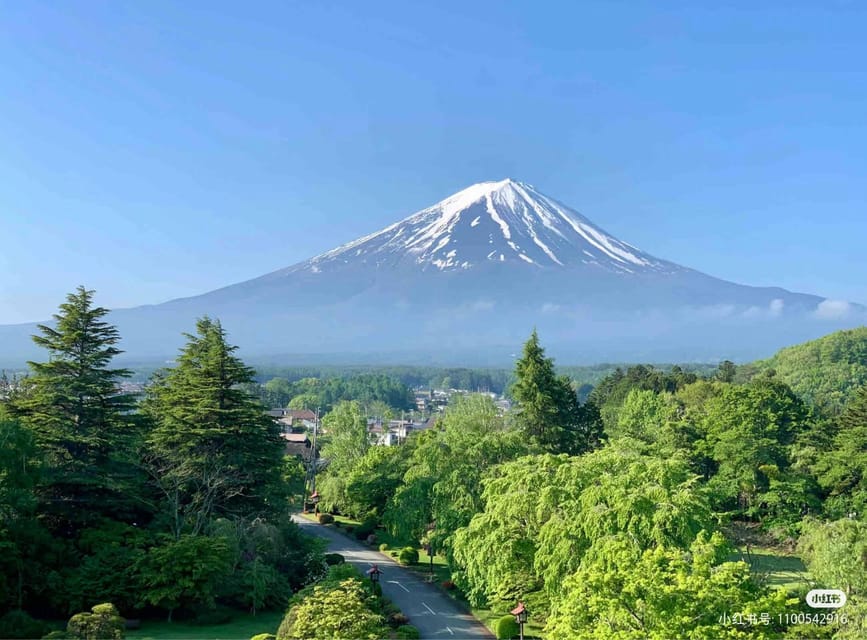 From Tokyo: Mt Fuji, 5th Station, & Hot Springs Day Trip - Public Vs. Private Hot Springs