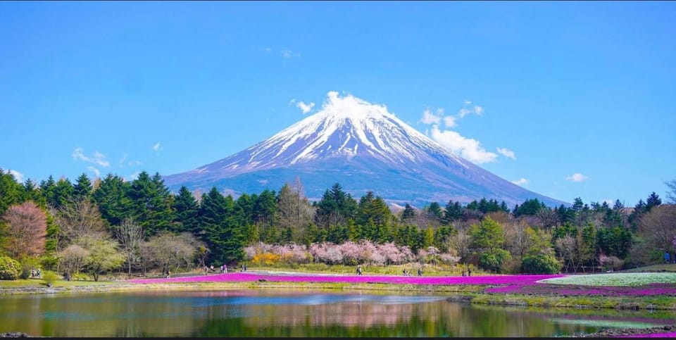 From Tokyo: Mt. Fuji or Hakone Sightseeing Private Day Tour - Hakone Sightseeing Cruise and Ropeway