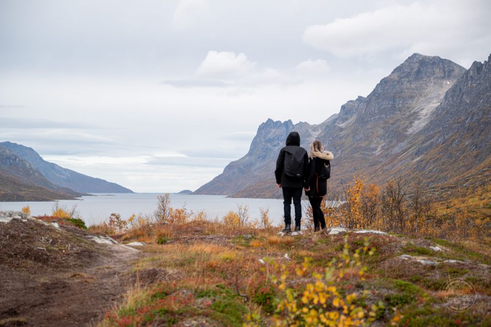 From Tromsø: Arctic Roadtrip - Enjoy the Warmth of Hot Drinks