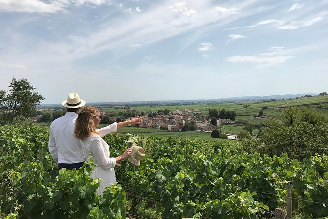 Full Day From Beaune: the Most of Burgundy, With Lunch - Stunning Countryside Views