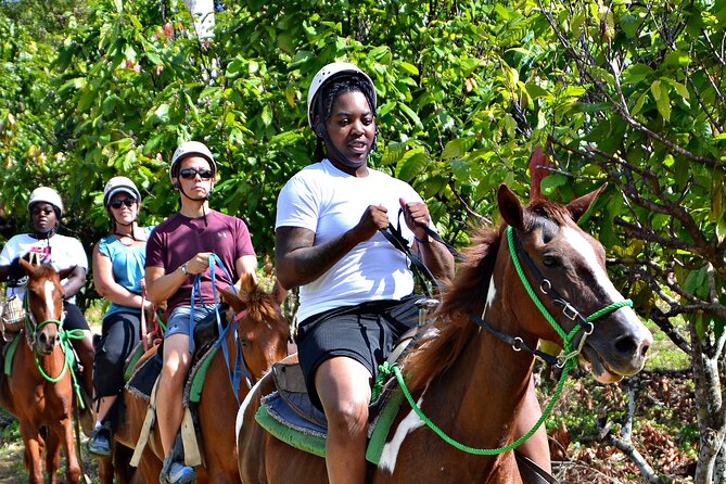 Full-Day La Hacienda Dune Buggy With Zipline & Horseback Activity - Cultural Experiences