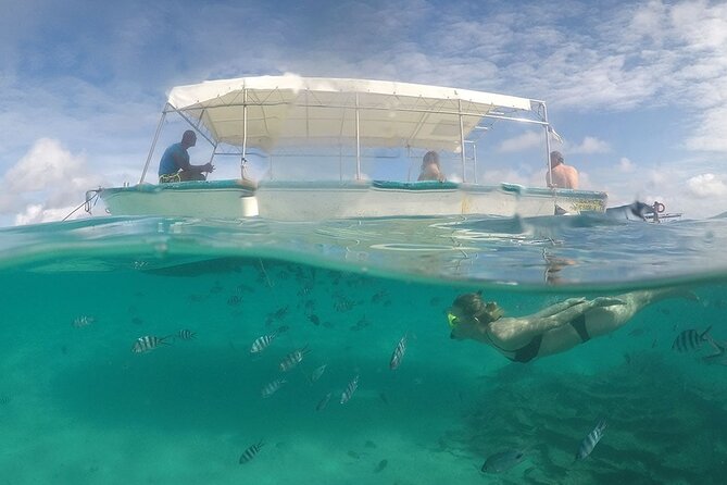 Full Day Tour 5 Island to Ile Aux Cerfs Incl. Lunch and Transfer - Transportation and Guides