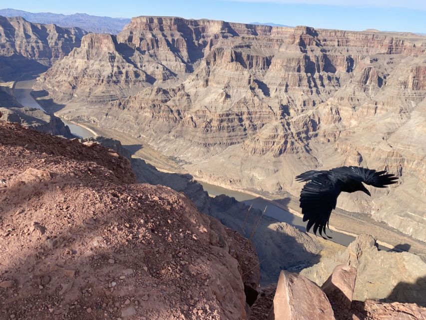 Grand Canyon & Hoover Dam: Private Tour From Las Vegas - Joshua Tree Forest Stop