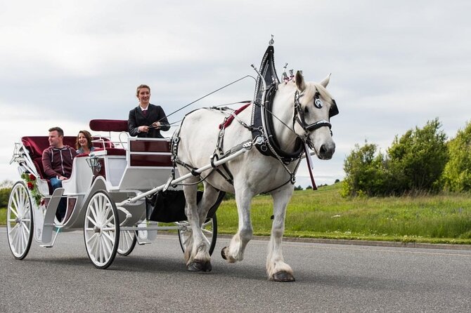 Grand Horse-Drawn Carriage Tour of Victoria - Tour Pricing and Group Size