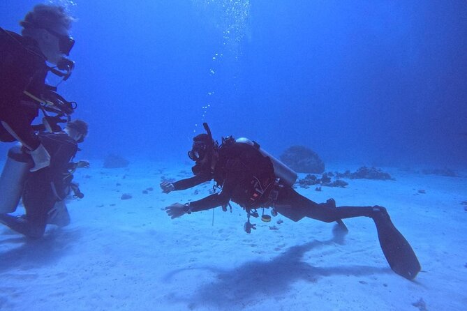 Guided Diving Experience for Padi OW in Red Sea and Sinai - Maximum Number of Travelers