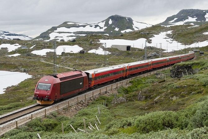 Guided Tour - Bergen Railway, Nærøyfjord Cruise & Flåm Railway - Inclusions and Meeting Details