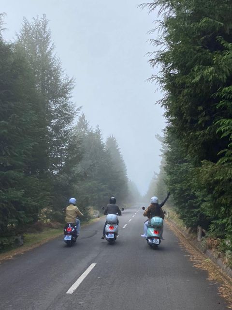 Guided Vespa Tour Through Mountains - Madeira Island - Visit to Monte