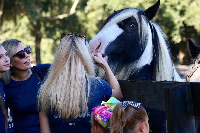 Gypsy Gold Horse Farm Tour - Pricing and Cancellation Policy