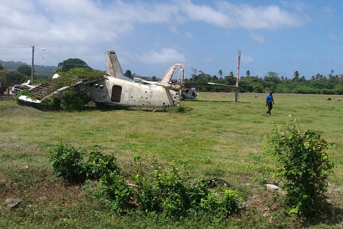 Half-Day Grenada Island Small-Group Sightseeing Tour - Scenic Views and Top Attractions