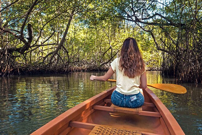 Half-Day Private Los Haitises Caves and Mangroves Canoe Tour - Historical Significance