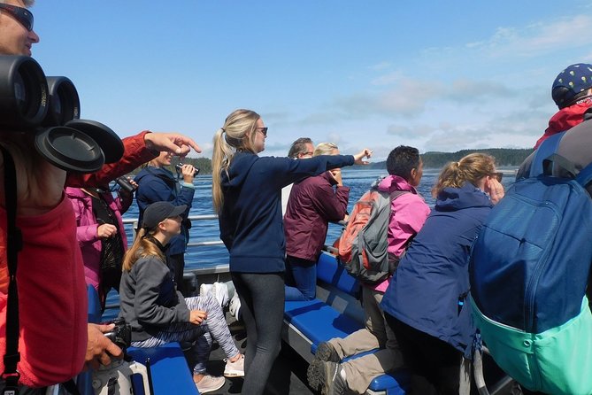 Half-Day Whale Watching Adventure From Telegraph Cove - Educational Resources