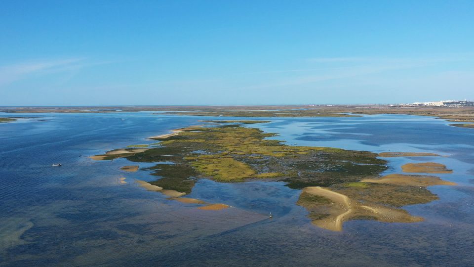 Hello: Ria Formosa Boat Cruise to Armona and Culatra - Highlights of the Cruise