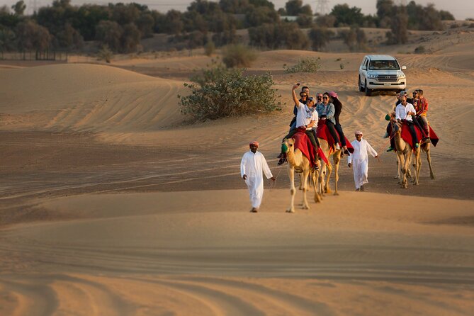 High Red Dunes With Camel Ride, Sandboarding, Falcon Show and VIP BBQ Dinner - Delectable BBQ Dinner Buffet