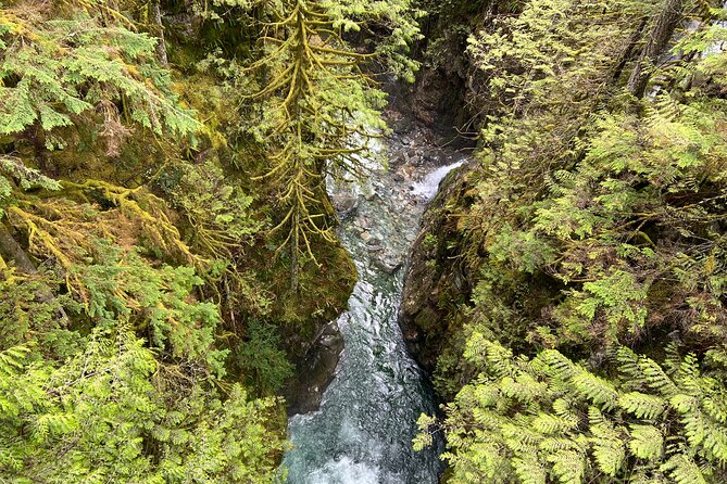 Hike Lynn Canyon and Bike Seymour Demonstration Forest - Cancellation and Refund Policy