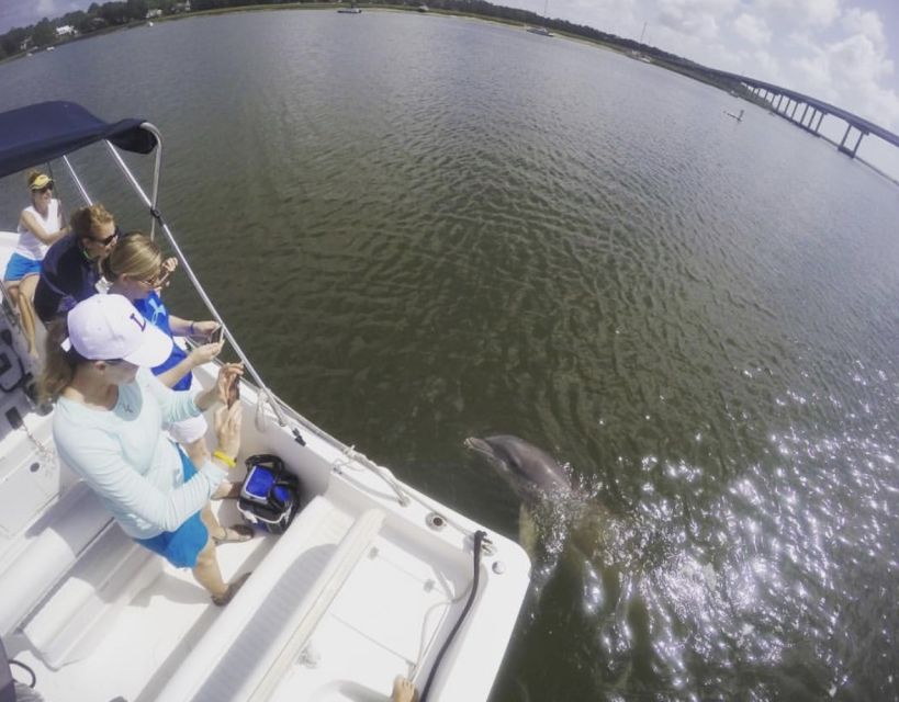 Hilton Head Island: Private Dolphin Watching Boat Tour - Important Considerations