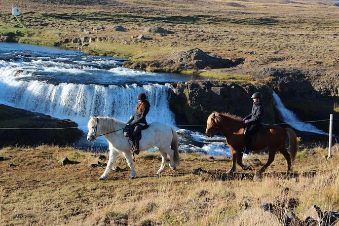 Horse Riding Tour to the Glacier River Delta With Waterfall - Customer Feedback