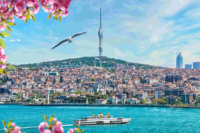 Istanbul Camlica Tower: Private Entry, Transfer & Dine Choices - Additional Tour Details