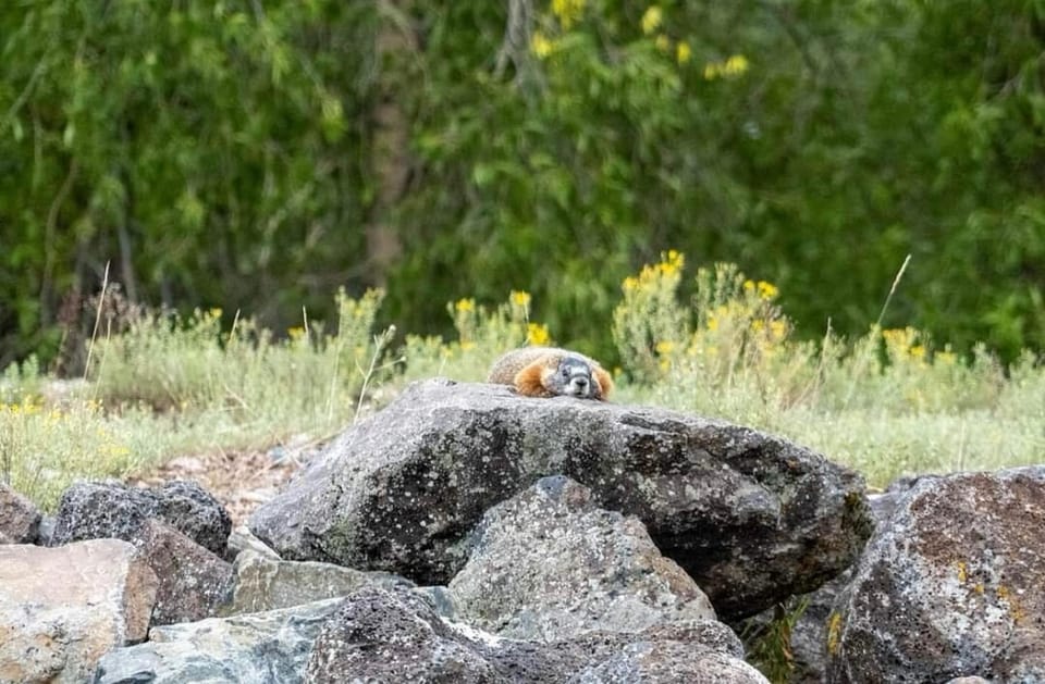 Jackson Hole: Snake River Scenic Float Tour With Chairs - Important Considerations