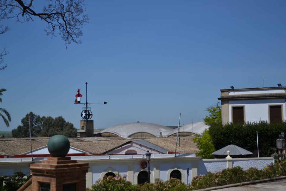 Jerez De La Frontera: 1.5-Hour Walking Tour With a Guide - Visiting the Cathedral