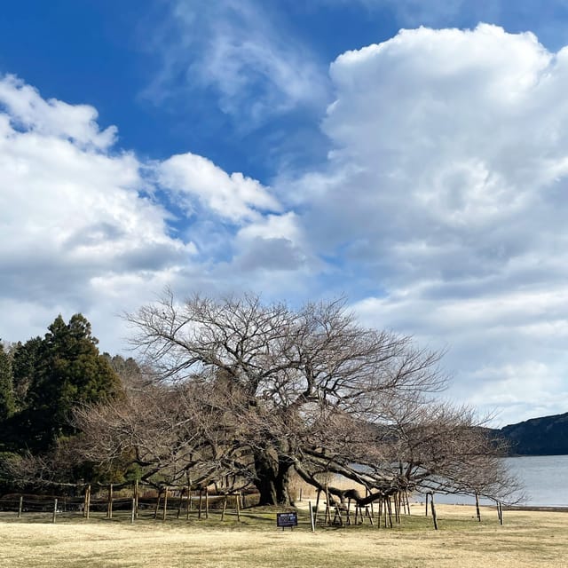 Kanto 10-Hour Chartered Day Trip｜Hakone - Hakone Shrine and Owakudani