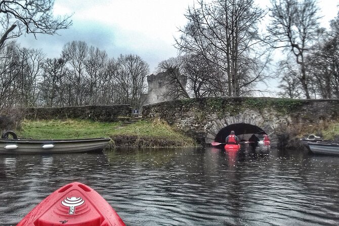 Kayak the Killarney Lakes From Ross Castle. Killarney. Guided. 2 Hours. - Opportunities for Wildlife Observation