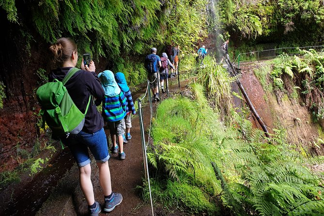 Kings Levada - São Jorge - Tour Operator