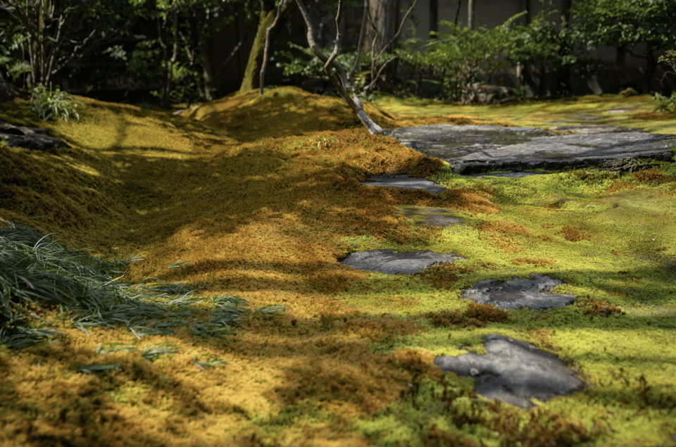 Kyoto: Zen Meditation at a Private Temple With a Monk - Frequently Asked Questions