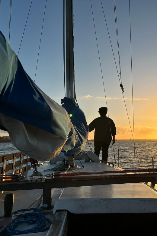 LA: Marina Del Rey Sunset Cruise for Photos - Seeing Marine Wildlife