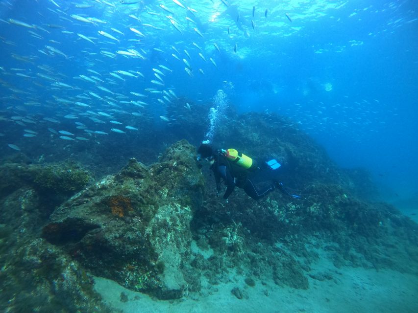 Lanzarote: Try Scuba Diving for Beginners - 2 Dives - Picking Locations and Schedules