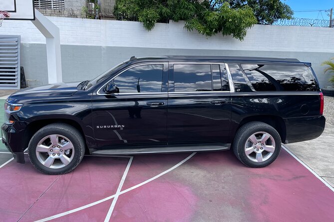 Limousine SUV Private Presidential Vip Transfer - Tailored Experiences