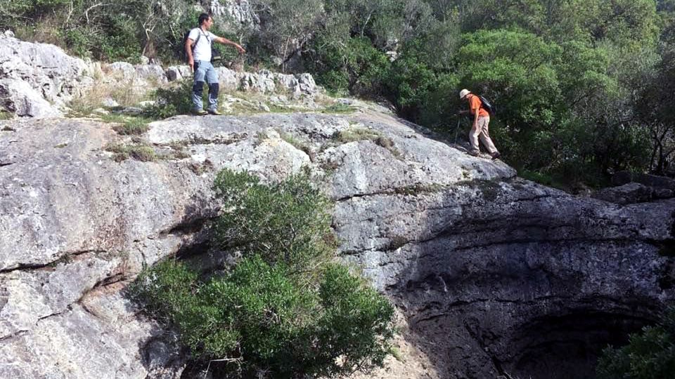 Lisbon: Hiking in Arrábida Natural Park - Biodiversity and Natural Beauty