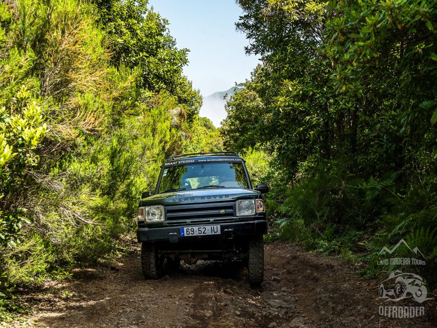 Madeira All Day Jeep Nature Tours. - Customizable Tours