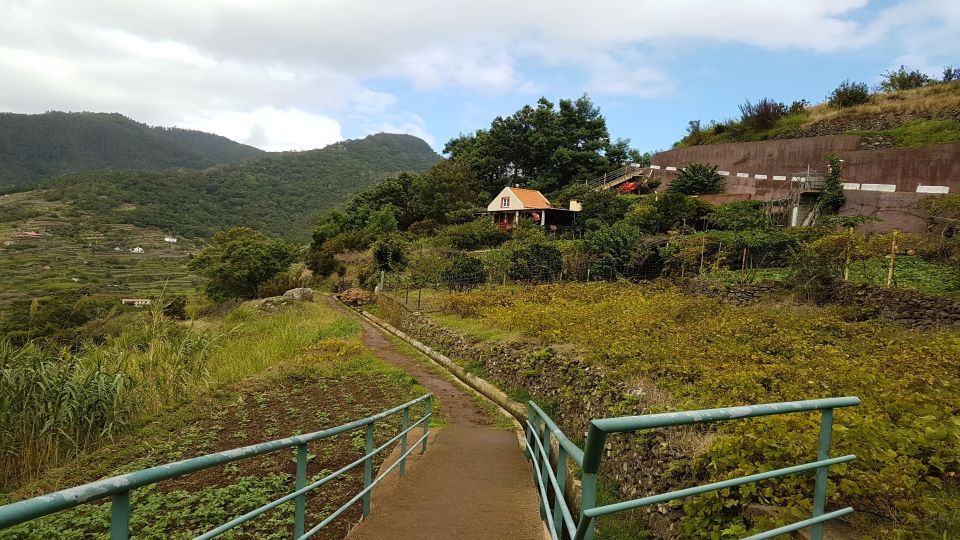 Madeira: Private Vereda Do Larano Hike - Not Suitable for Certain Individuals