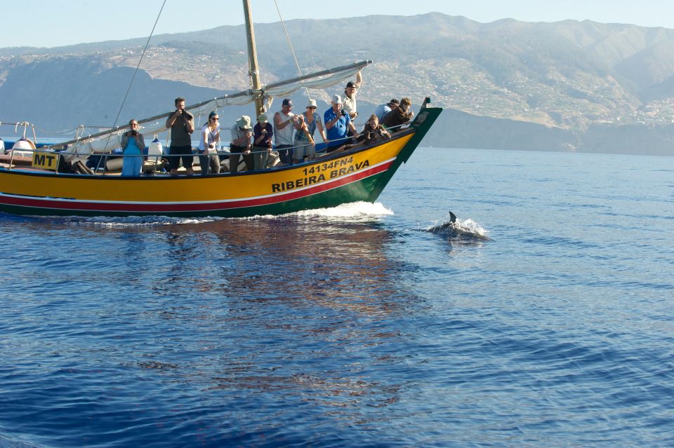 Madeira: Whale Watching Excursion in a Traditional Vessel - Booking and Cancellation