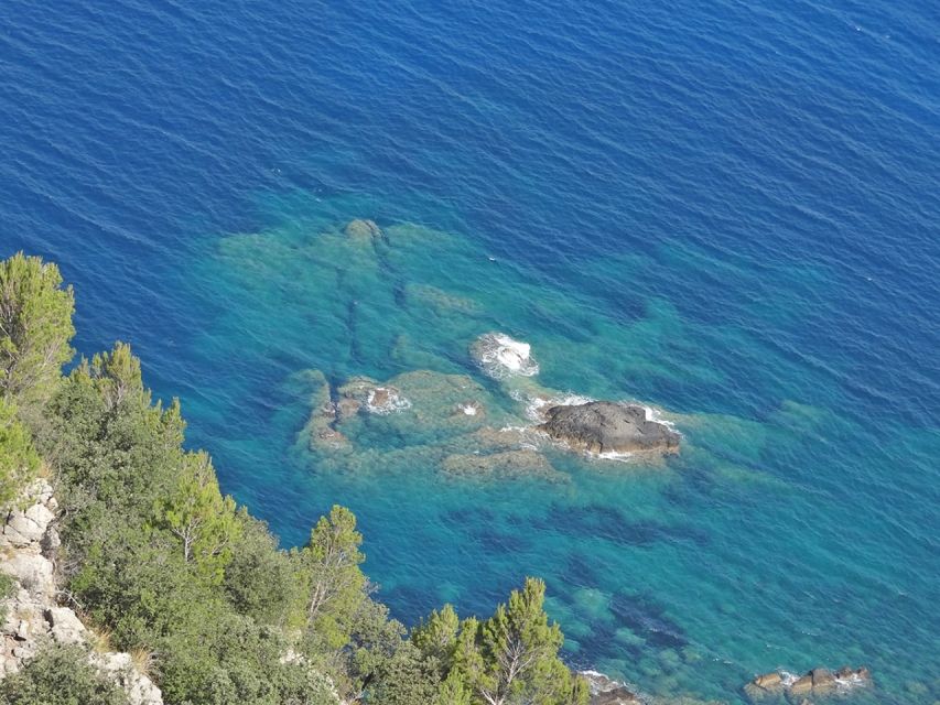 Mallorca: Day Trip to Hidden Gems of Tramuntana With Lunch - Rustic Mallorcan Lunch