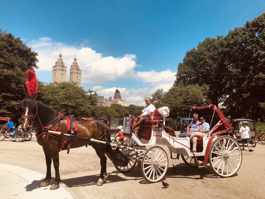 Manhattan: VIP Private Horse Carriage Ride in Central Park - Treats for the Horses