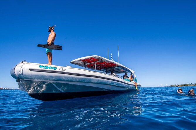 Manta Ray Snorkel Moonlight Kona Hawaii - Small Group Available - Customer Feedback and Experiences