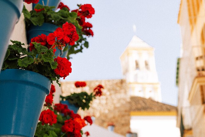 Marbella Old Town: Private Walking Tour - Accessibility and Cancellation Policy