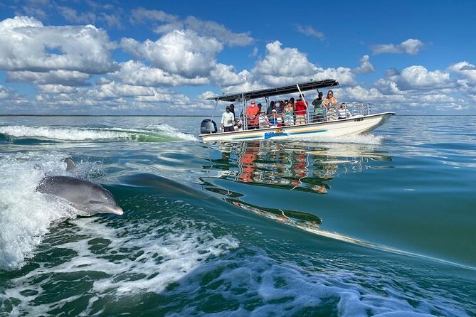 Marco Island Dolphin Sightseeing Tour - Location and Setting