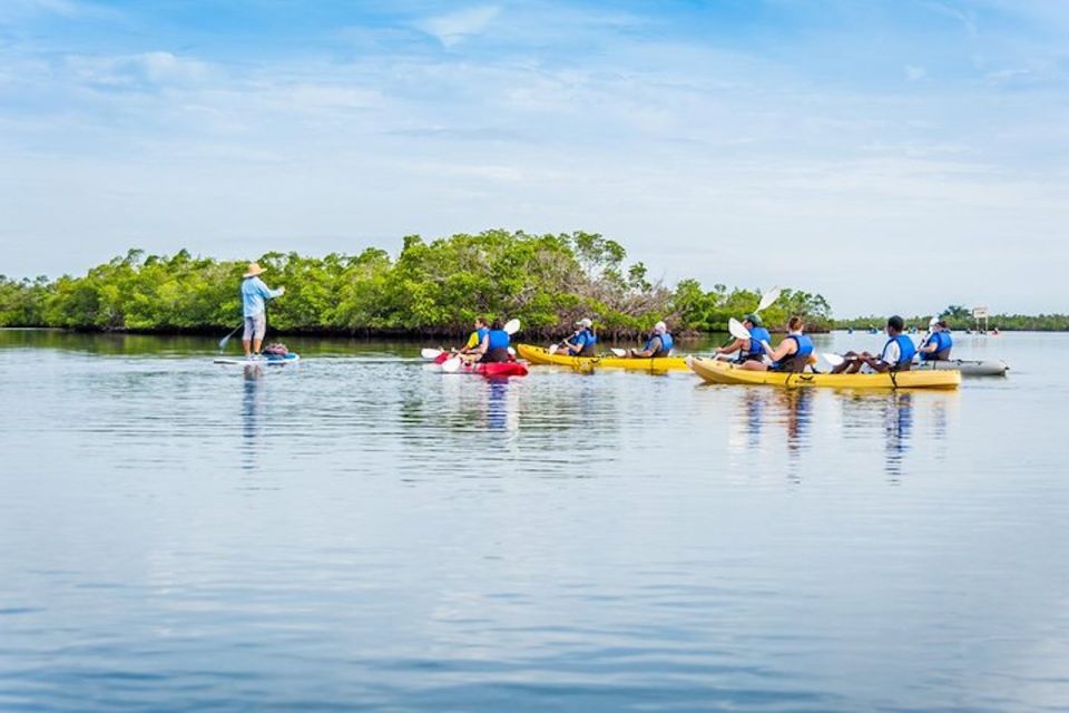 Marco Island: Kayak Mangrove Ecotour in Rookery Bay Reserve - Guide Expertise