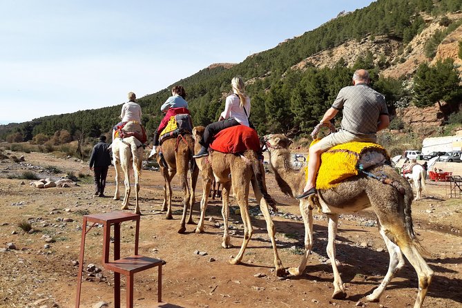 Marrakech to Atlas Mountains and 4 Valleys Day Trip - Camel Ride Through Atlas Mountains