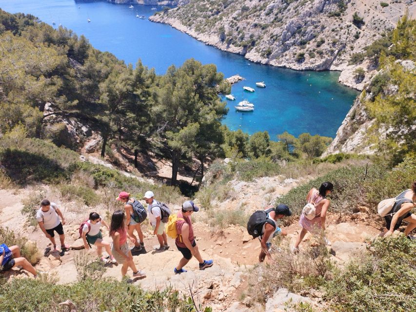 Marseille: Guided Hiking Calanques National Park From Luminy - Recap