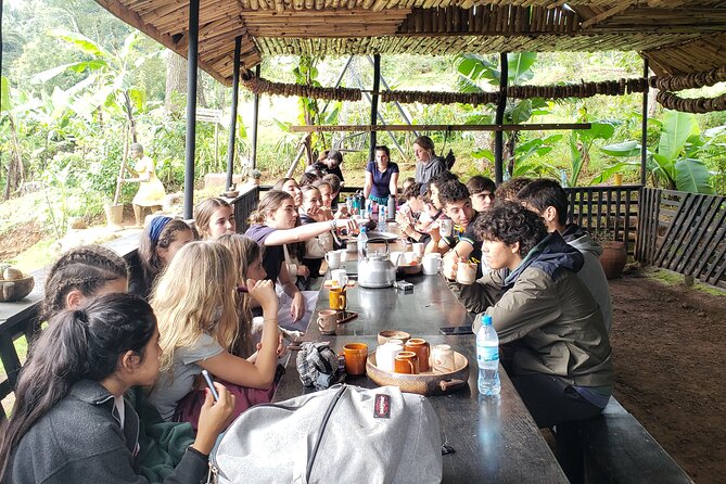 Materuni Waterfall, Coffee Tour and Picnic Hot Lunch - Highlights of the Tour