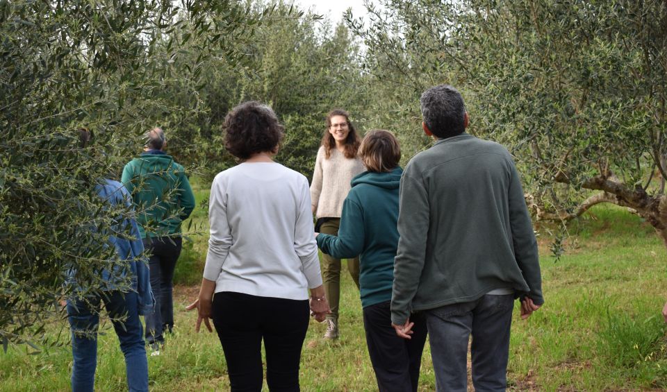 Messenia: Olive Oil Experience-Full Tour,Food Pairing,Dinner - Educational Videos